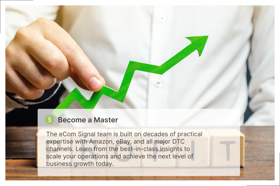 Increase your profits through mastering eCommerce